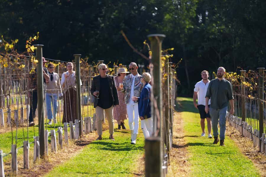 Brisbane: Tamborine Wine & Distillery Tour - Who should book the Brisbane Tamborine wine and distillery tour?