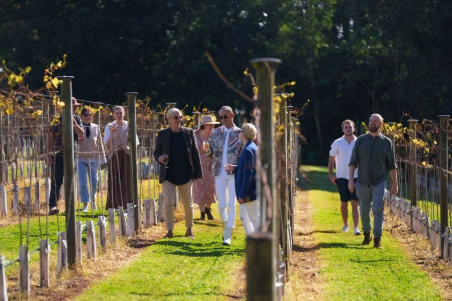 Brisbane: Tamborine Wine & Distillery Tour - Should you book? My practical recommendation