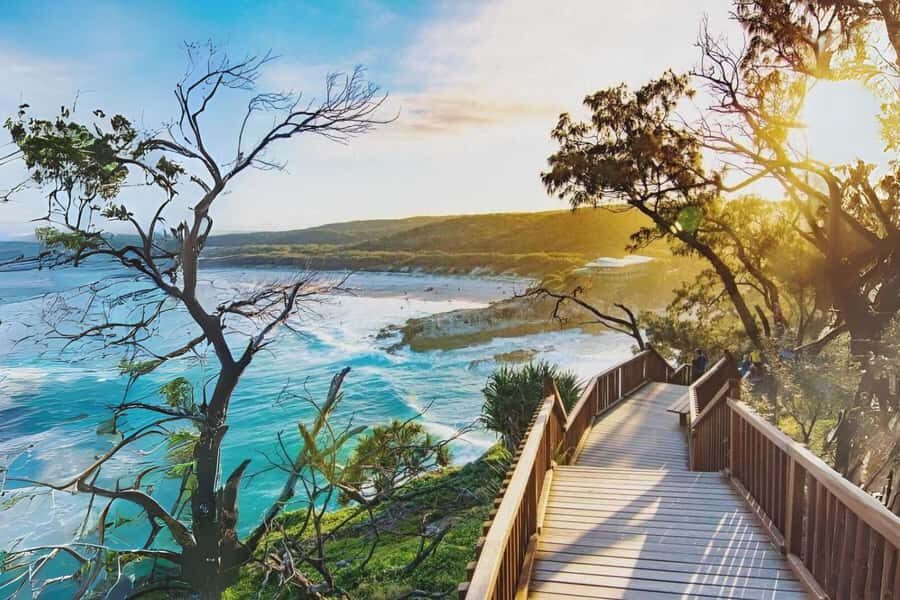 Brisbane to North Stradbroke Island Day: Wildlife & Beaches - Quick hits before you go