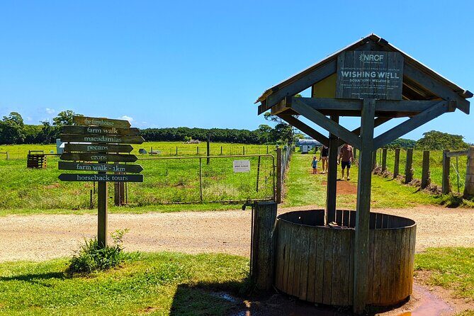 Byron Bay, Bangalow & Gold Coast Day Trip from Brisbane - The Farm stop: coffee, animals, and food you can actually taste