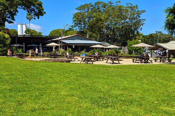 Byron Bay, Bangalow & Gold Coast Day Trip from Brisbane - Optional Byron Bay Wildlife Sanctuary stop for macadamias and a sweet treat