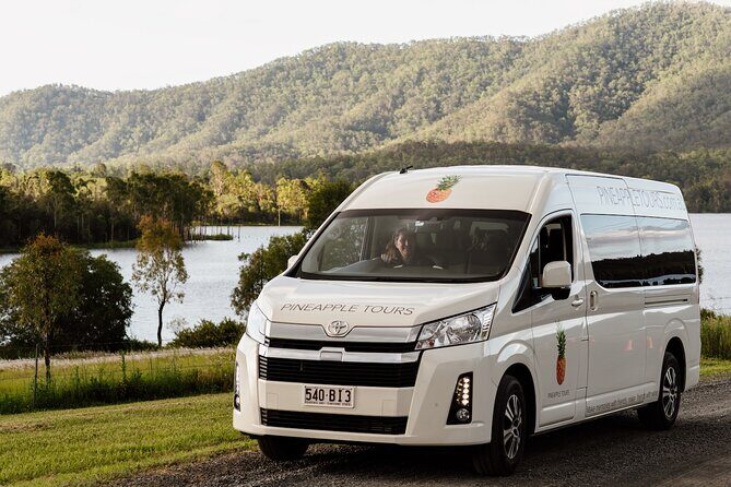 Daytime Scenic Rim Glow Worm Tour + Hop on Hop off Bus - Who should book this tour