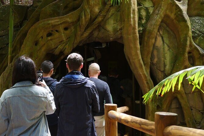 Daytime Scenic Rim Glow Worm Tour + Hop on Hop off Bus - Stop 1: Pineapple Tours and the local-angle approach