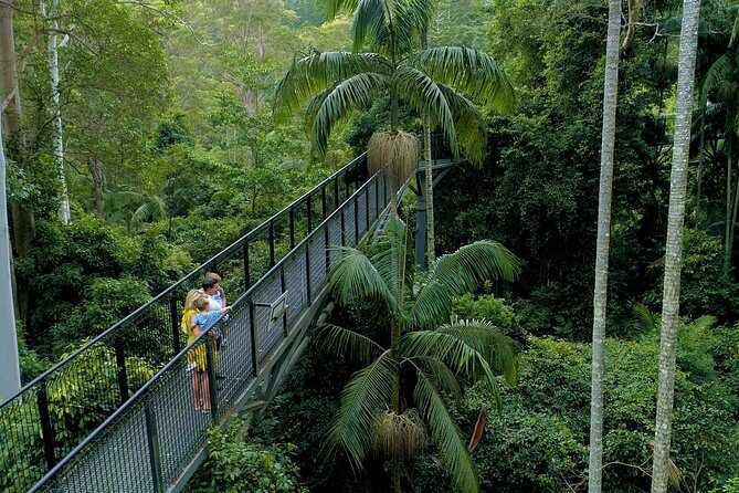 Deluxe Springbrook & Mt Tamborine Glow Worms and famous Skywalk - Key things to know before you go