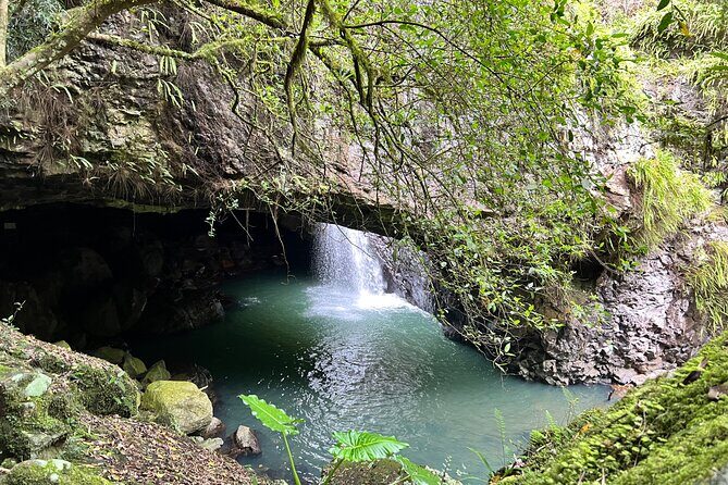 Deluxe Springbrook & Mt Tamborine Glow Worms and famous Skywalk - A day that strings together three big hits near Brisbane