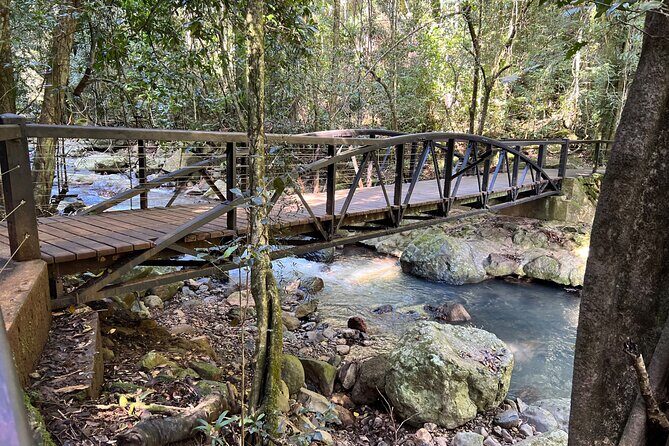 Deluxe Springbrook & Mt Tamborine Glow Worms and famous Skywalk - Glow Worm Caves: what you’ll see in the 45-minute cave tour