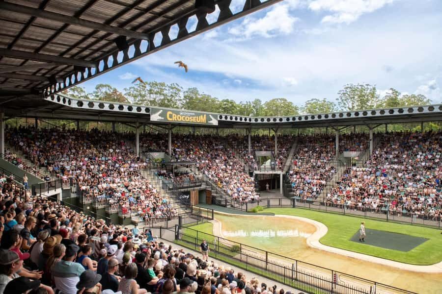 From Brisbane: Australia Zoo Transfer and Entry Ticket - Key things to love about this Brisbane to Australia Zoo day trip