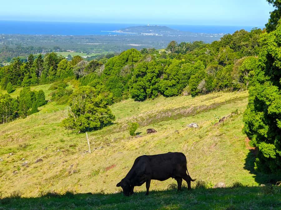 From Brisbane: Byron Bay, Bangalow, and Gold Coast Day Tour - Cape Byron Lighthouse: The Main Event (And Why the Walk Is Worth It)