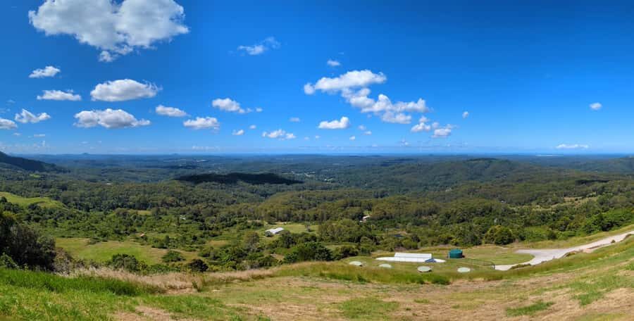 From Brisbane: Day Trip to Noosa, Glass House Mtns and Zoo - Should you book this Brisbane day trip to Noosa, Glass House Mountains and Wildlife HQ?