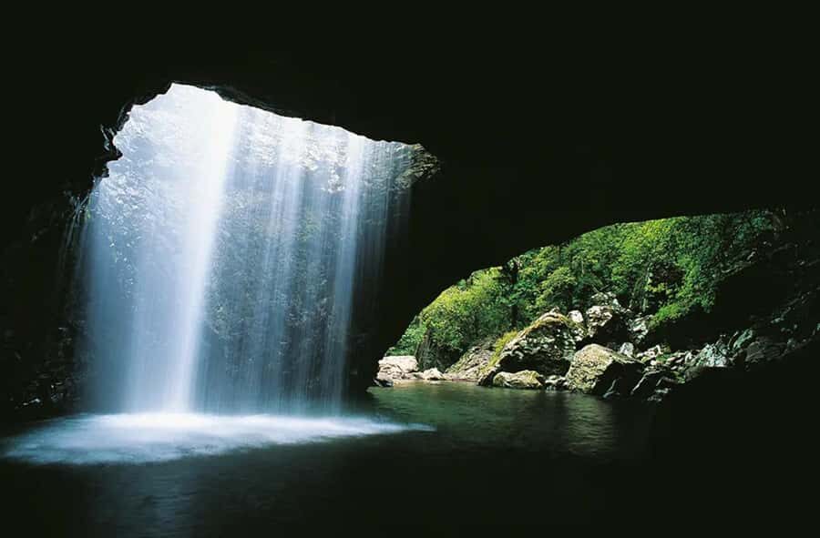 From Brisbane: Gold Coast Day Tour with Lunch - Timing, comfort, and what to pack for a long coach day