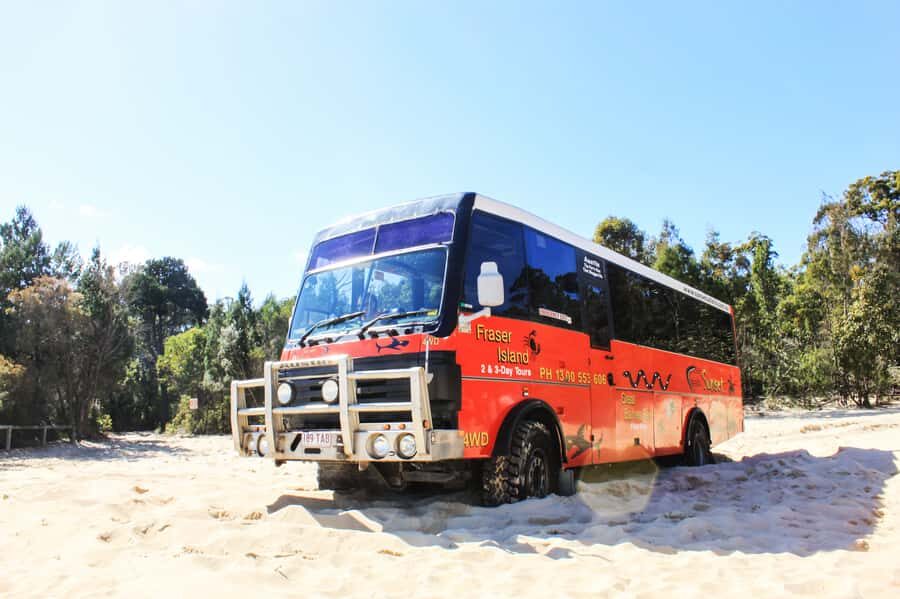 From Brisbane: Moreton Island Full-Day Trip - 4WD Driving on Moreton Island: Beach Meets Bushland