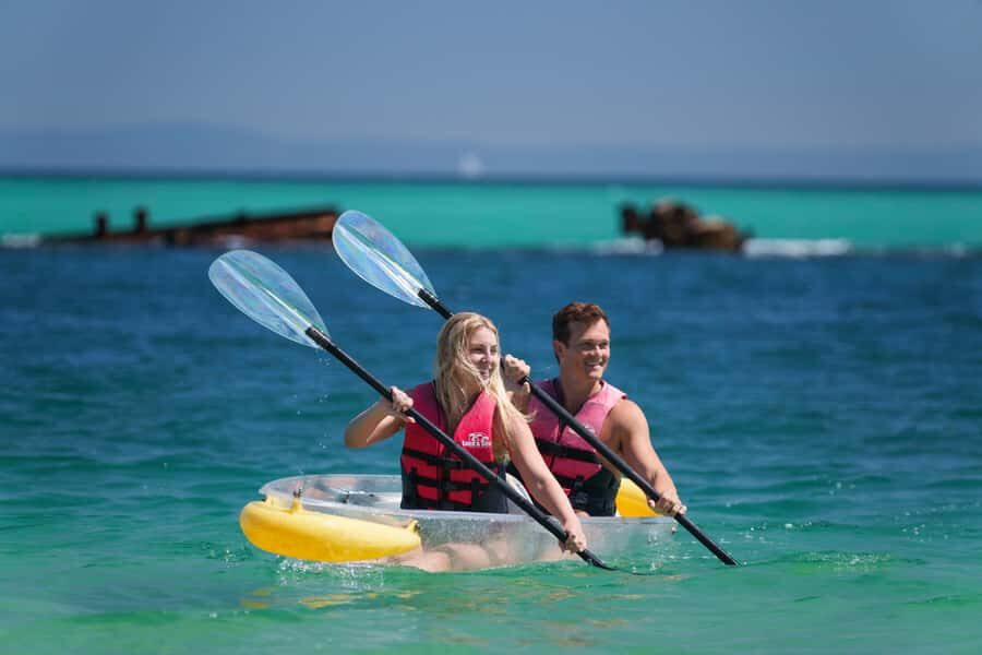 From Brisbane: Moreton Island Full-Day Trip - What Makes the Guides Matter (and Who You Might Meet)