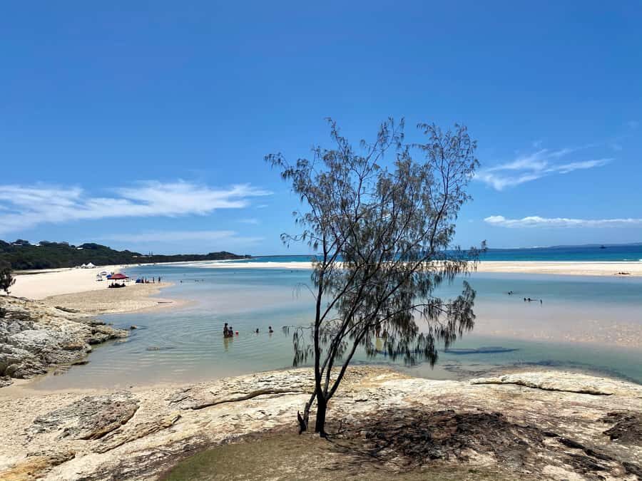 From Brisbane: North Stradbroke Island Wildlife Adventure - Key reasons this day trip works so well