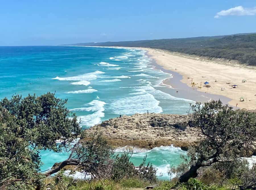 From Brisbane: North Stradbroke Island Wildlife Adventure - From Anzac Square to Straddie: how the day gets moving (without chaos)