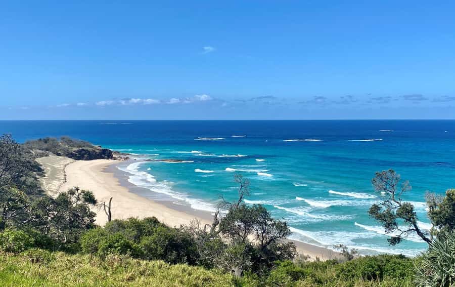 From Brisbane: North Stradbroke Island Wildlife Adventure - Gorge Walk and the Coral Sea: the coastal hike you actually talk about later
