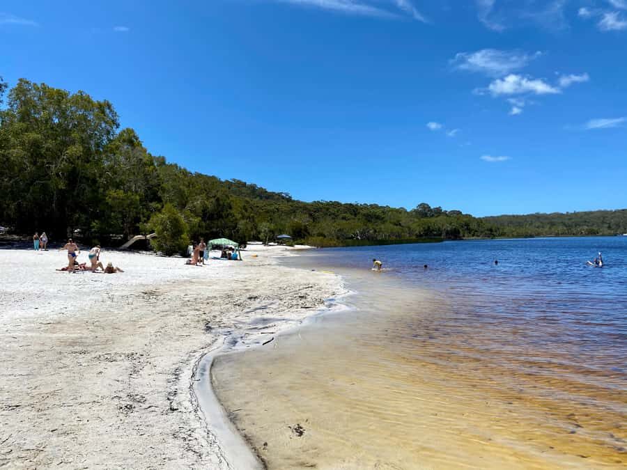 From Brisbane: North Stradbroke Island Wildlife Adventure - Point Lookout lunch reset: where you breathe before the next push