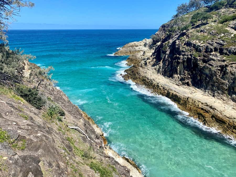 From Brisbane: North Stradbroke Island Wildlife Adventure - Brown Lake Bummel and Myora Springs: your first dose of Straddie’s calm