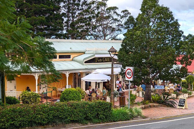 Glass House Mountains, Maleny and Montville Tour from Brisbane - Who This Tour Suits Best (Families, Couples, First-Timers)
