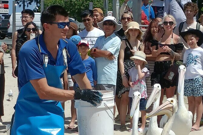 Gold Coast Surfer's Paradise Private Tour from Brisbane - Charis Seafoods and the 1:00 pm Pelican Feeding Show