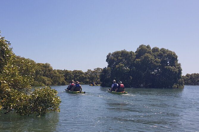 Guided Kayak Adventure Tour - Key points at a glance