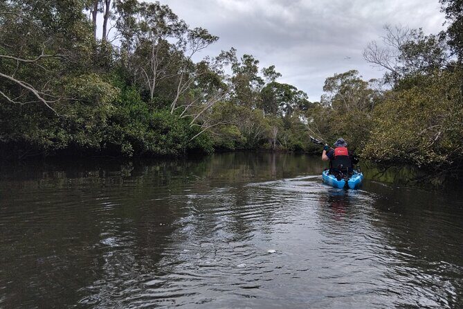 Guided Kayak Adventure Tour - Your route options: Hilliard’s Creek, Tingalpa, King Island, and Coochiemudlo
