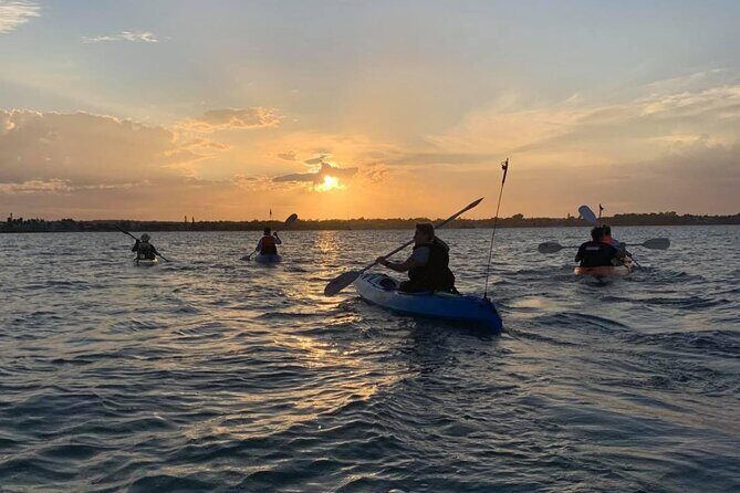 Guided Kayak Adventure Tour - Who should book this kayak eco-tour (and who should think twice)