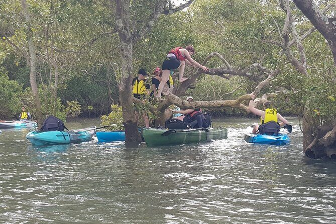 Guided Kayak Adventure Tour - Paddling time, pace, and what intermediate kayaking really means