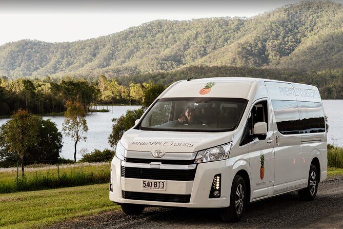 Hop on Hop Off Bus - Tamborine Mountain - How the hop-on hop-off really works (and where people get confused)