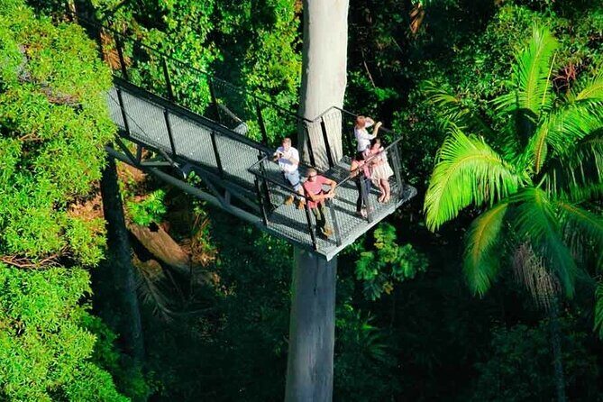 Hop on Hop off - Tamborine Rainforest Skywalk + Glow Worm Caves - Brisbane to Tamborine Mountain: a half-day outing with room to breathe