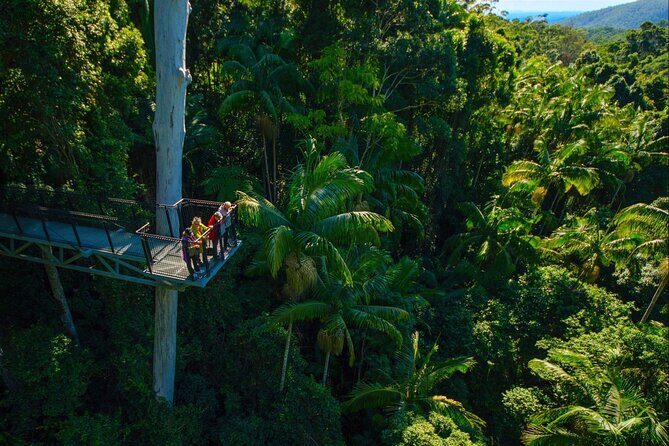 Hop on Hop off - Tamborine Rainforest Skywalk + Glow Worm Caves - Glow Worm Caves guided tour: the glow, explained, and then gone