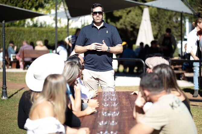 Hop on Hop off Wine tasting tour to Tamborine Mountain - Key highlights you’ll feel on the day