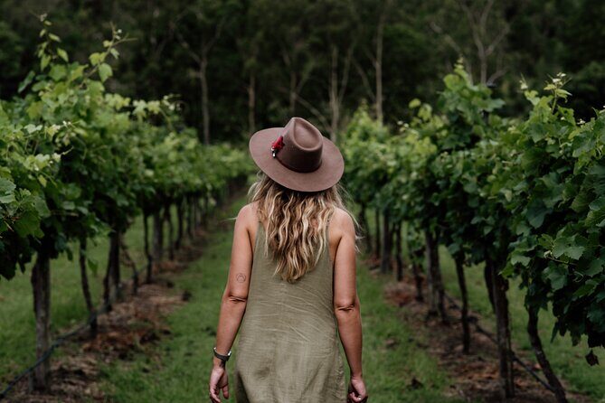 Hop on Hop off Wine tasting tour to Tamborine Mountain - Lunch is on you: how to plan so you don’t lose time