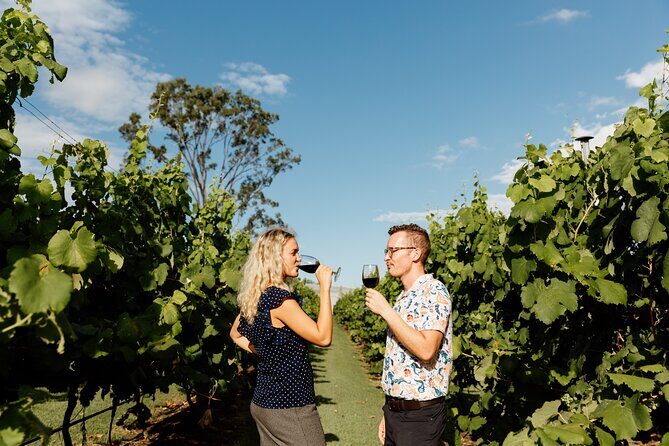 Hop on Hop off Wine tasting tour to Tamborine Mountain - Price and value: what $118.35 buys you in a real day