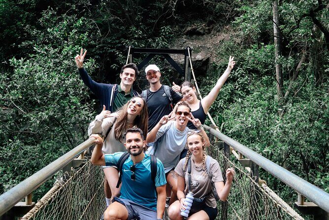 Kangaroos, 6 Springbrook Waterfalls and Natural Bridge Day Tour - Key things I’d circle before you go