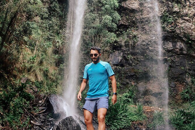 Kangaroos, 6 Springbrook Waterfalls and Natural Bridge Day Tour - Natural Bridge: the easy 1.1 km loop with a wow-factor ending
