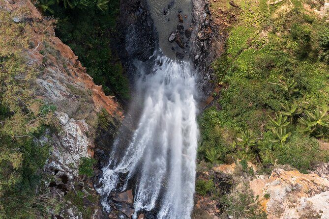 Kangaroos, 6 Springbrook Waterfalls and Natural Bridge Day Tour - Lunch in the forest: keep it simple and you’ll enjoy it more