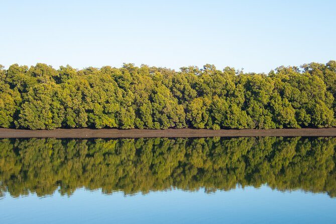 Kangaroos, mangroves and the ocean - Bird hides: getting close without disturbing the moment