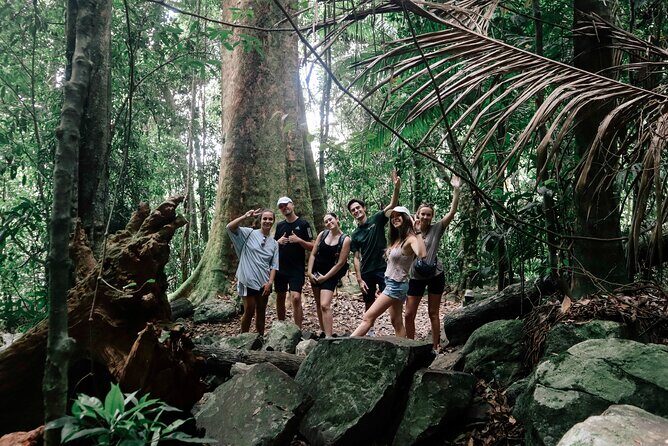 Koalas, 6 Springbrook Waterfalls and Natural Bridge Day Tour - Trail Shoes, Mist, and a Simple Packing Plan