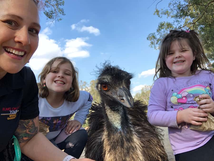 Lone Pine and Brisbane City Highlights - Lone Pine Koala Sanctuary: the animal moment that anchors the day