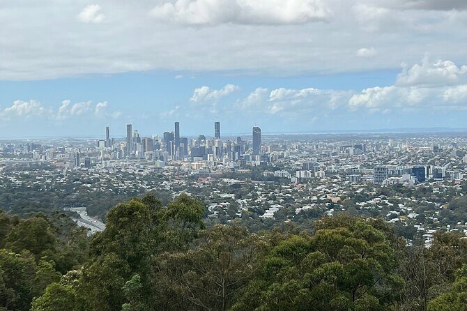 Lone Pine, Brisbane Highlights and Lunch! - Getting There From Ann Street: City Hall Meet-Up and Bus Comfort