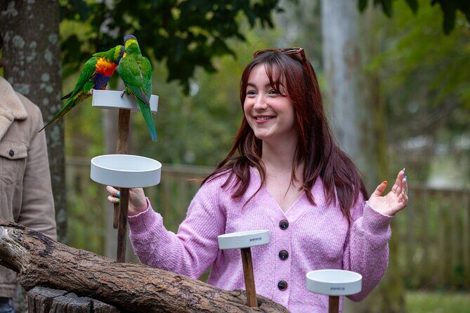 Lone Pine Koala Sanctuary Day Pass - The 2–5 hour game plan: how to structure your visit