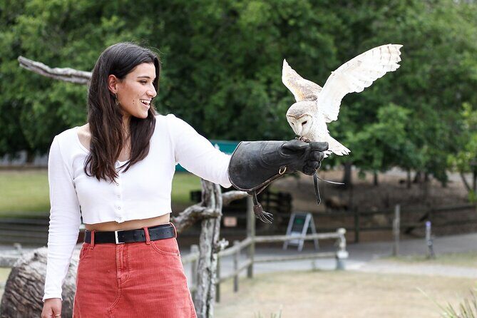 Lone Pine Koala Sanctuary Day Pass - Kangaroo Reserve: staff-supervised feeding in a big, natural setting