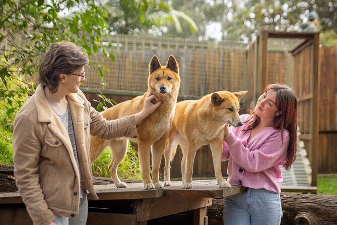 Lone Pine Koala Sanctuary Day Pass - Price and Value: what you pay for at $42.32 per person
