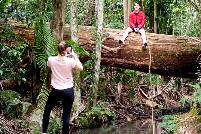 Maiala Rainforest Tour - After the storms: what you learn in the walk-back canopy breaks