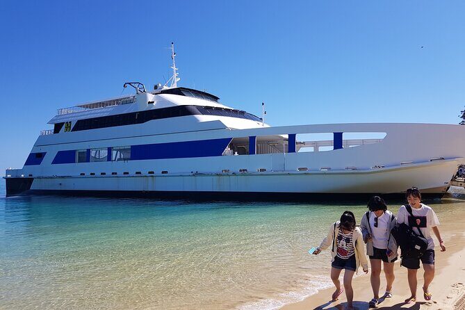 Moreton Island Day Trip (Kayak, Snorkel & Sandboard) frm Brisbane or Gold Coast - Price reality: $128.39 is only part of the true cost