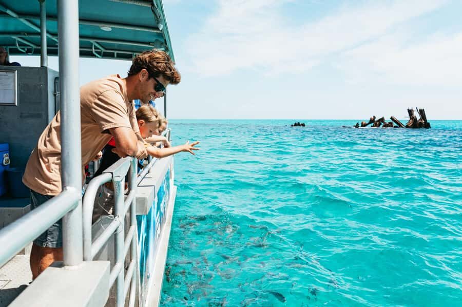 Moreton Island: Marine Discovery Cruise & Dolphin Feeding - Tangalooma Island Resort day pass: pools, bars, and real breaks