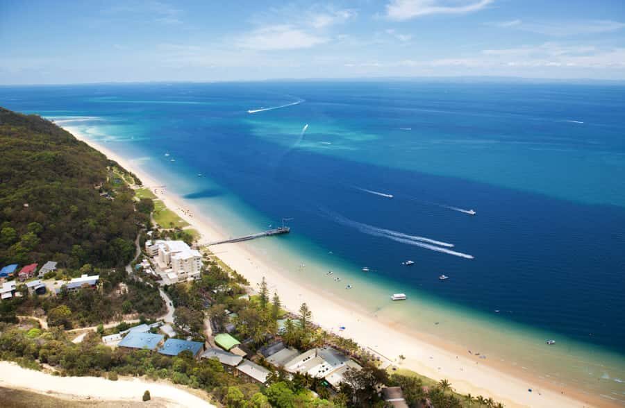 Moreton Island: Marine Discovery Cruise & Dolphin Viewing - Key Highlights You’ll Actually Care About
