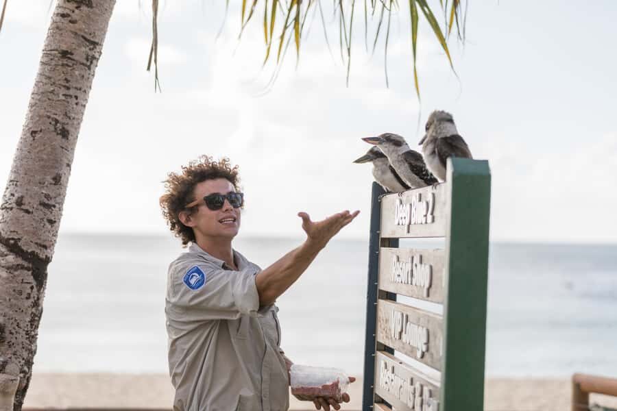 Moreton Island: Marine Discovery Cruise & Dolphin Viewing - Resort Time at Tangalooma: Pools, beach, and bonus animal moments