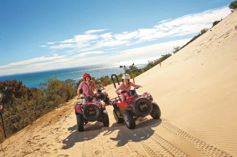 Moreton Island: Tangalooma ATV Quad Bike & Dolphin Feeding - Should you book the ATV and wild dolphin feeding combo?