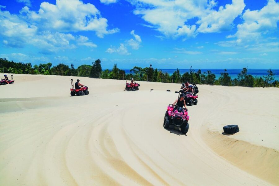 Moreton Island: Tangalooma ATV Quad Bike & Dolphin Feeding - Who this Moreton Island day trip suits best (and who should reconsider)